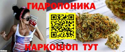 2c-b Аргун