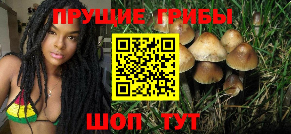Псилоцибиновые грибы GOLDEN TEACHER  Псилоцибиновые грибы GOLDEN TEACHER  Аша  Вход с VPN 